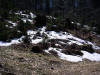 Neige.....  Snow....